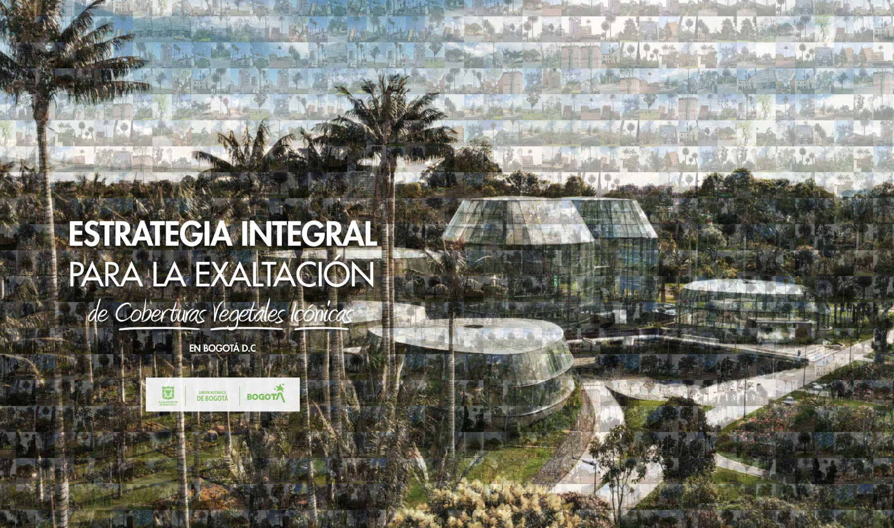 portada estrategia integral para la exaltación de coberturas vegetales icónicas